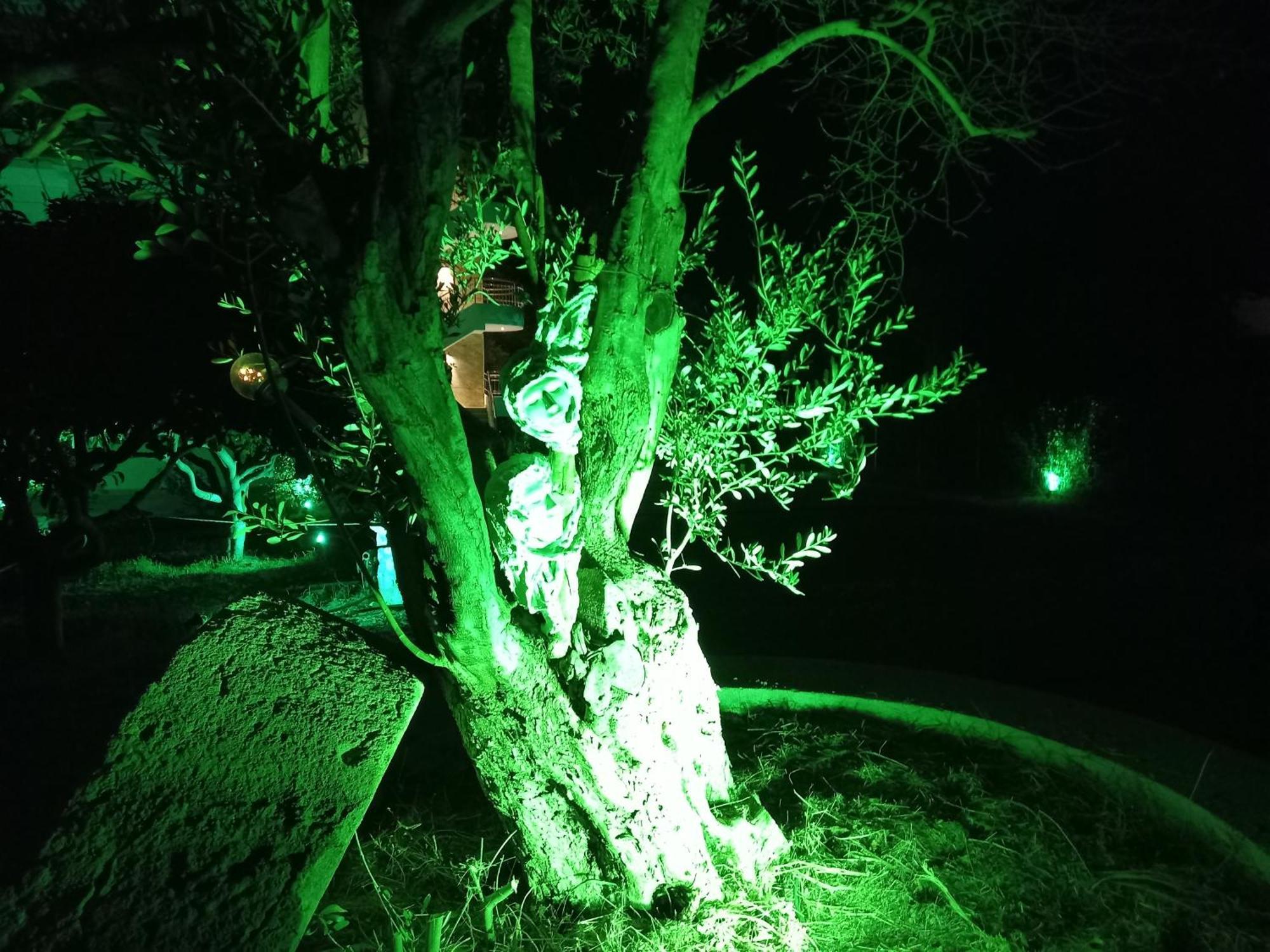 Sweet Home Luxury Apartment 5 Ialysos (Rhodes) Exterior foto